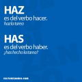 Haz / has