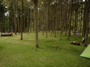 Parque Nacional La Mucuy.