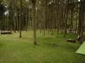 Parque Nacional La Mucuy (Mrida)