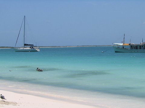 Cayo Crasquí. Cayo Crasquí.
