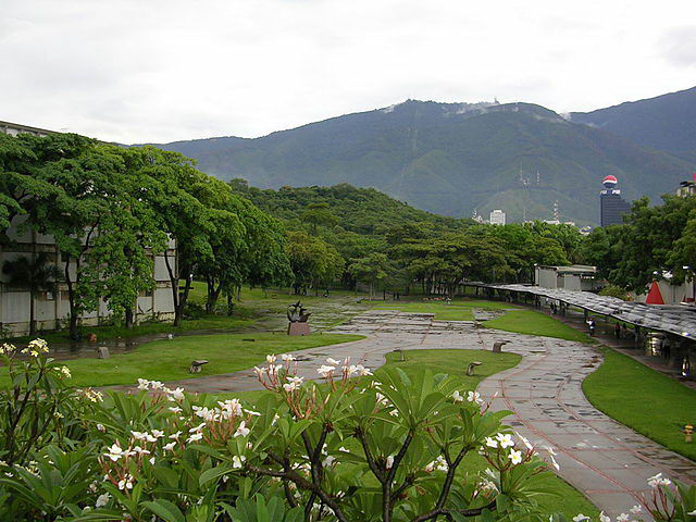 Universidad Central De Venezuela.