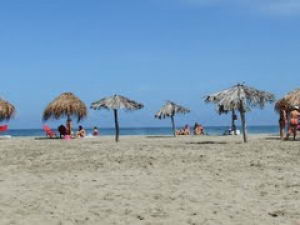 Playa Pantaleta en Vargas.