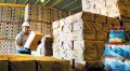 Produccin de Empresas Polar en riesgo por deuda de Cadivi 