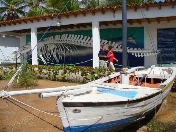 Instalaciones del Museo Marino