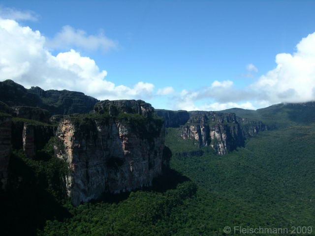 Amur tepuy en el macizo de Chimant.