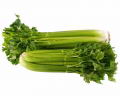 El clery, un vegetal con varios beneficios para la salud