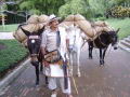 Armenia, ciudad con sabor a caf