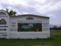 La Extica Flora Tropical de San Felipe de Yaracuy