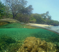 Cayo Medio