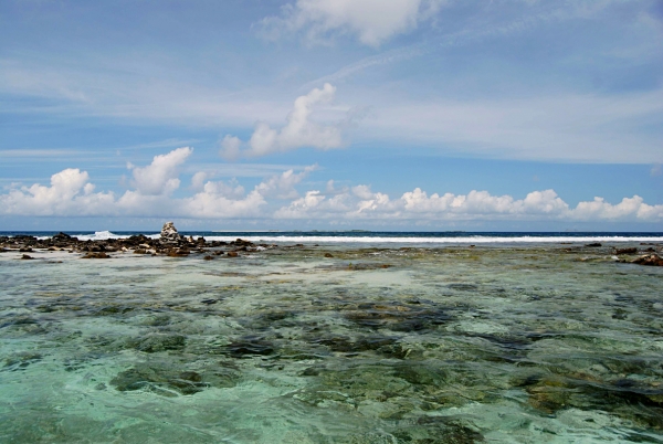 Cayo carenero- Margarita. Cayo carenero- Margarita.