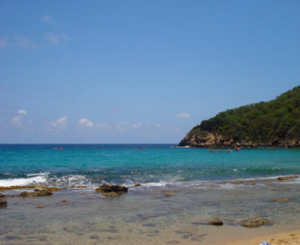Cepe-Aragua.