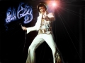 Curiosidades de Elvis Presley