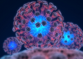 Enfermedad del Alzhimer vinculada con infecciones por hongos
