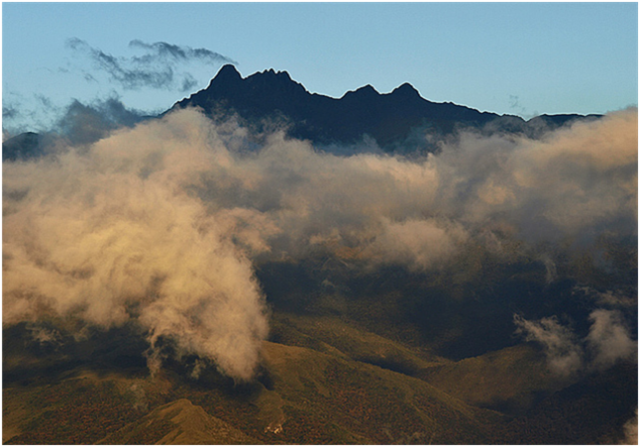 Pico Campanario (Imagen: Denis Alexander Torres) Pico Campanario (Imagen: Denis Alexander Torres)