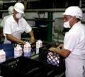 Recepcin de leche cay 30% en el primer semestre de 2013