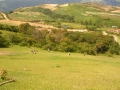 Cumbres del Palenque (Lara)