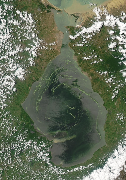 Vista satelital del Lago de Maracaibo.