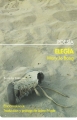 La elega (gneros literarios)