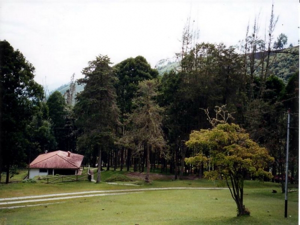 Parque La Mucuy-Merida 