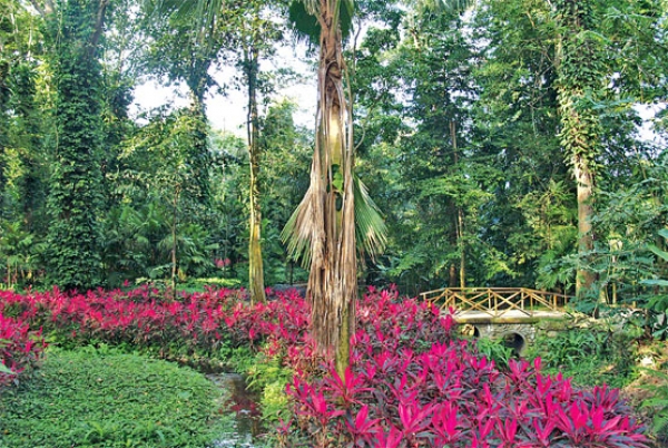 Parque de la Exótica Flora Tropical Parque de la Exótica Flora Tropical