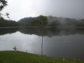 Parque Nacional General Juan Pablo Pealoza (Mrida-Tchira)