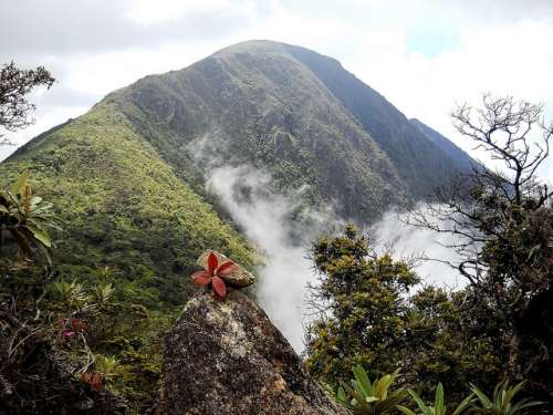 Pico Occidental