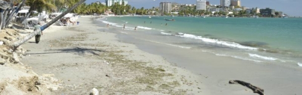 Playa Los Cocos. Margarita