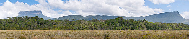 Vista panoramica de los tepuyes Ptar y Sororopn.