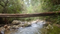 Parque Nacional Dinira (estados Lara, Trujillo y Portuguesa)