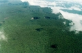 El enigmtico paisaje del Tepuy Sarisariama