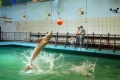 Acuario de Valencia