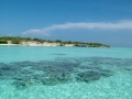 Venetur ofrece paquetes tursticos para isla Tortuga