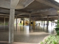 Universidades dictarn cursos de verano