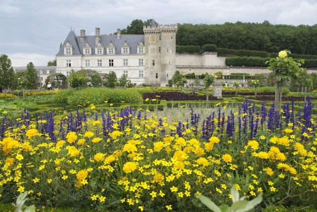 Castillo y jardines de Villandry- Castillo y jardines de Villandry-