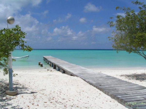 Cayo Madrisquí-Los Roques. (Foto:Web) Cayo Madrisquí-Los Roques. (Foto:Web)