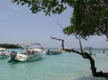 Bajo Caimn (Parque Nacional Morrocoy)