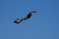 Feria aeronutica 2012 (fotos)