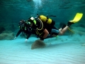 Dnde se puede practicar buceo en Venezuela