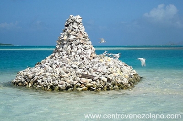 Cayo Languí(Foto:Centro Venezolano) Cayo Languí(Foto:Centro Venezolano)