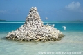 Isla Larga o Cayo Langu (Los Roques)