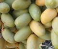 Propiedades nutritivas de los "dtiles"