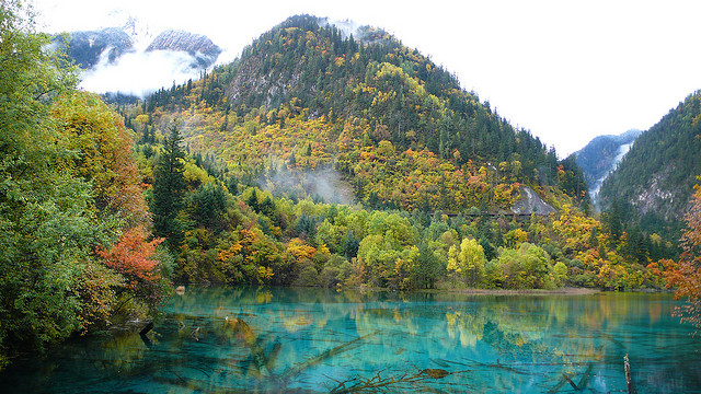 Sus aguas son tan cristalinas que se puede observar el fondo del lago.