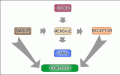 Clasificacin del contexto