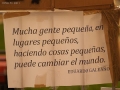 Cosismo