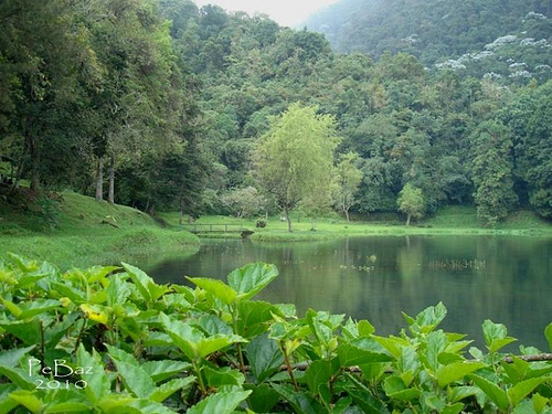 Parque Nacional General Cruz Carillo Parque Nacional General Cruz Carillo