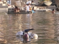 El Ro Ganges: Espiritualmente contaminado (India)