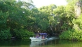 Isla de Pjaros (Parque Nacional Morrocoy)