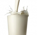 La leche descremada contribuye a la obesidad