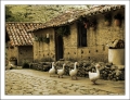 Parque Temtico Los Aleros (Mrida)