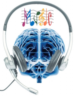La música activa diversas zonas del cerebro. La música activa diversas zonas del cerebro.